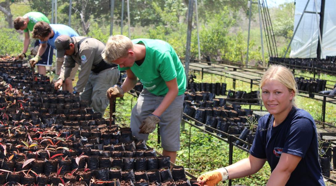 Volunteers work in the greenhouse on the Galapagos Conservation Project Projects Abroad Volunteers work in the greenhouse on the Galapagos Conservation Project